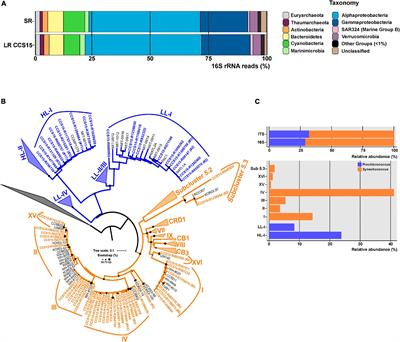 Enhanced Recovery of Microbial Genes and Genomes From a Marine Water Column Using Long-Read Metagenomics